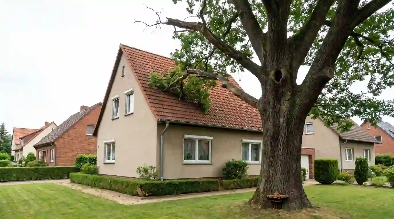 Alte Eiche direkt am Wohnhaus mit abgebrochenem Ast auf dem Dach, Stammhöhlung und Baumpilz am Stammfuß in Berlin, Berliner Galabau